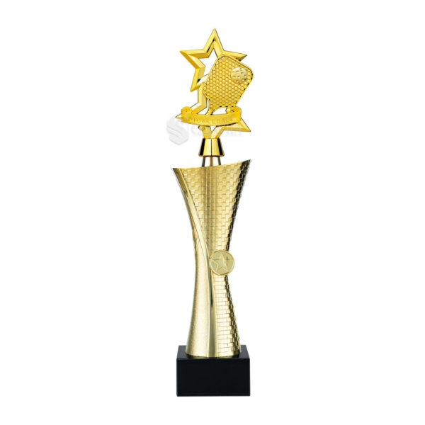 Cúp Junior – 2V1009