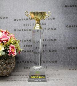 cup-pha-le-55-2