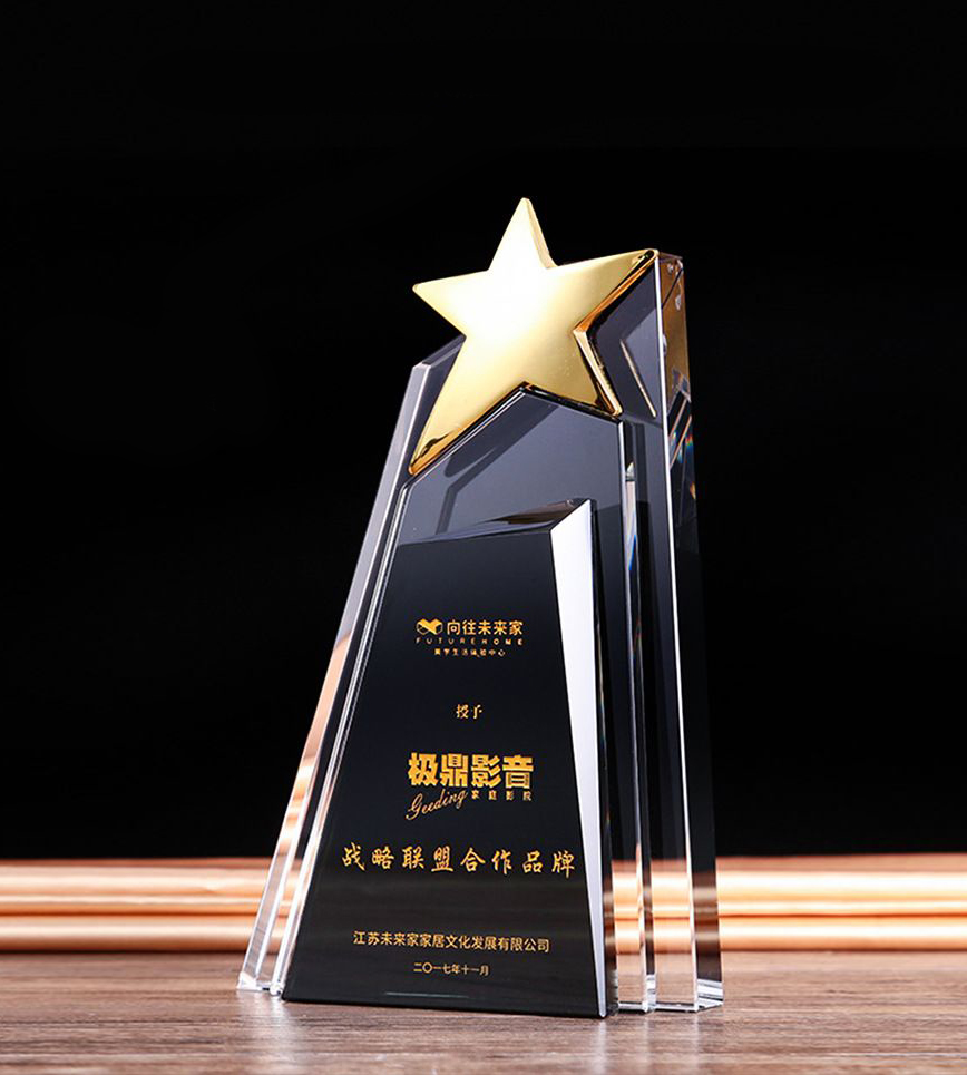 kỷ niệm chương pha lê 204