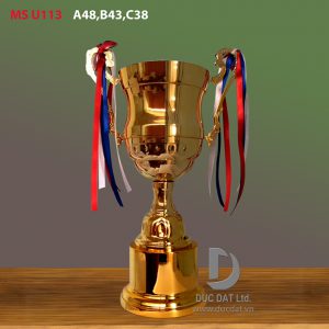 Cup_the_thao__11_-e1496045077354
