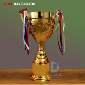 Cup_the_thao__12_-e1496045257678