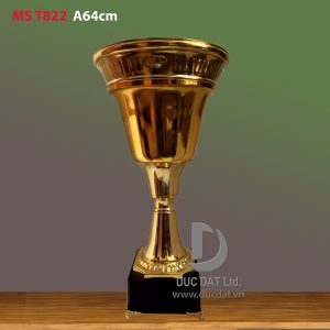 Cup_the_thao__13_-e1496045434693