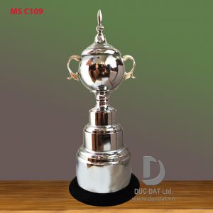 Cup_the_thao__14_-e1496045602383