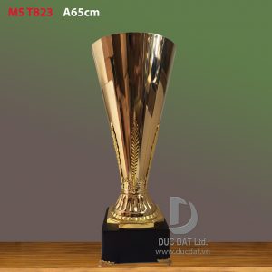 Cup_the_thao__15_-e1496045751852