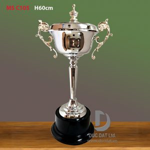 Cup_the_thao__16_-e1496045920897