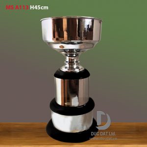 Cup_the_thao__17_-e1496046113125