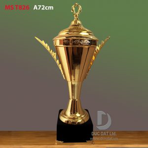 Cup_the_thao__19_-e1496046494188
