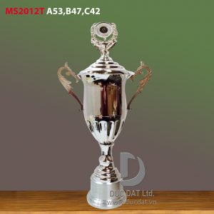 Cup_the_thao__1_-e1496043213104