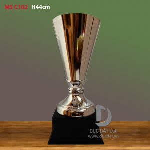 Cup_the_thao__21_-e1496046813169