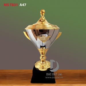 Cup_the_thao__23_-e1496047160851