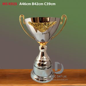 Cup_the_thao__24_-e1496047320689