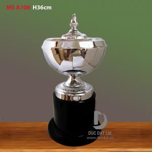 Cup_the_thao__25_-e1496047506234