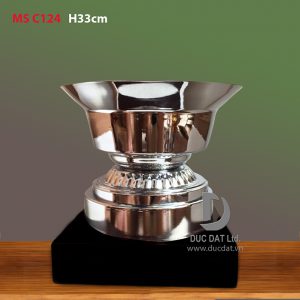 Cup_the_thao__26_-e1496047635651