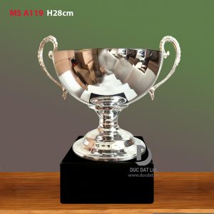 Cup_the_thao__27_-e1496047794364