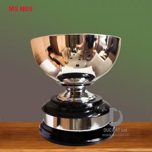 Cup_the_thao__28_-e1496047948921