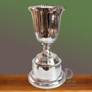 Cup_the_thao__29_-e1496048081813