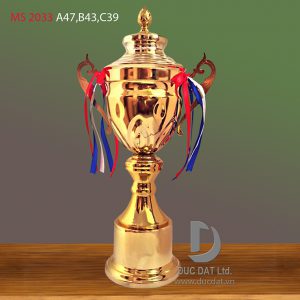 Cup_the_thao__2_-e1496043412437