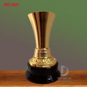 Cup_the_thao__31_-e1496048401855