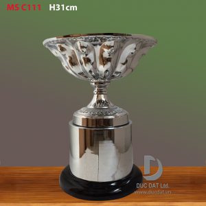 Cup_the_thao__32_-e1496048548194
