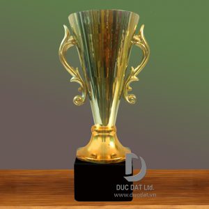 Cup_the_thao__34_-e1496048861610