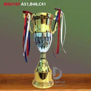 Cup_the_thao__35_-e1496049025771