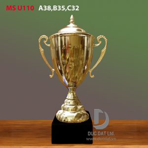 Cup_the_thao__36_-e1496049159398