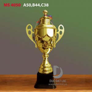 Cup_the_thao__37_-e1496049493829
