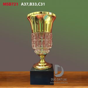 Cup_the_thao__38_-e1496049648857