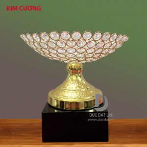 Cup_the_thao__40_-e1496049974773