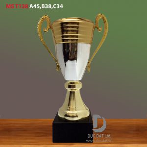 Cup_the_thao__44_-e1496050612340