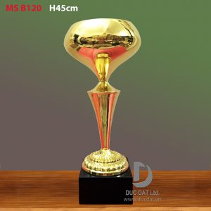 Cup_the_thao__46_-e1496050980822