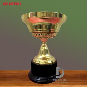 Cup_the_thao__47_-e1496051257794