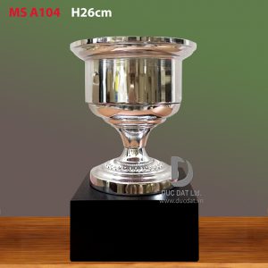 Cup_the_thao__49_-e1496051605783
