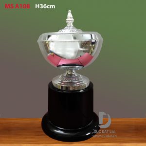Cup_the_thao__50_-e1496051782408