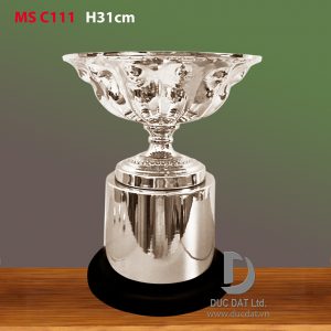 Cup_the_thao__53_-e1496052567734