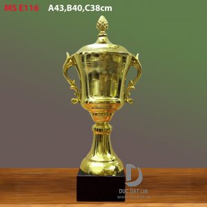 Cup_the_thao__55_-e1496053092816