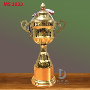 Cup_the_thao__58_-e1496053545227