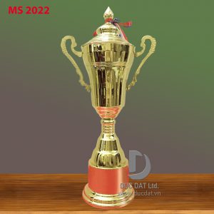Cup_the_thao__64_-e1496107395120