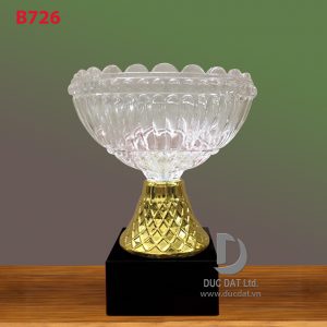 Cup_the_thao__65_-e1496107537938