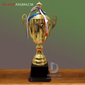 Cup_the_thao__67_-e1496107919963