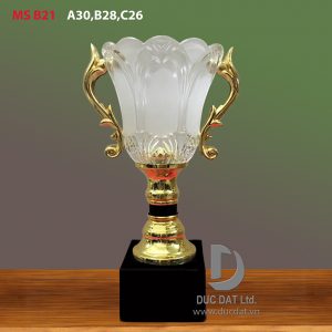 Cup_the_thao__68_-e1496108130970