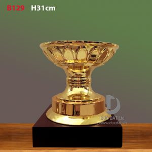 Cup_the_thao__69_-e1496108387508
