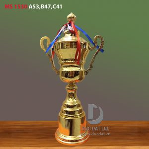 Cup_the_thao__71_-e1496108704282