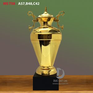 Cup_the_thao__7_-e1496044367993