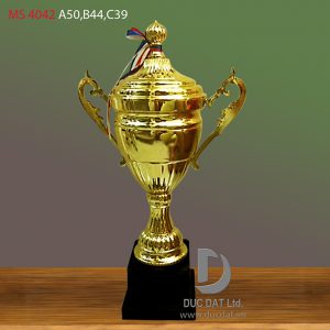 Cup_the_thao__8_-e1496044525130