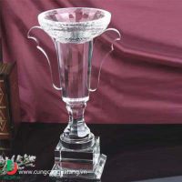 cup_pha_le_06-e1495592290906