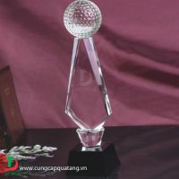 cup_pha_le_09-e1495592779558