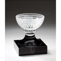 cup_pha_le_23-e1495595140645