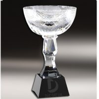 cup_pha_le_27-e1495595962845