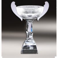 cup_pha_le_28-e1495596092732